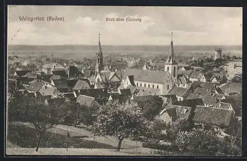 AK Weingarten /Baden, Blick vom Eissberg auf den Ort