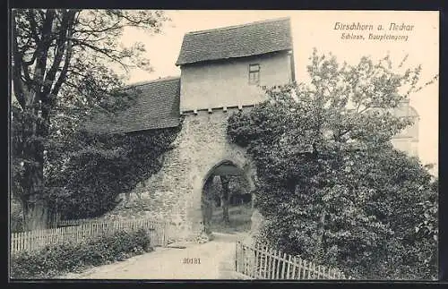 AK Hirschhorn a. Neckar, Schloss, Haupteingang