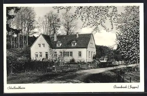 AK Ossenbrook /Jeggen, Schullandheim mit Strasse