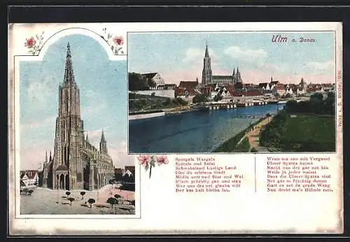 AK Ulm / Donau, Münster, Teilansicht mit Donau, Gedicht