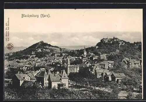 AK Blankenburg /Harz, Teilansicht mit Bergblick