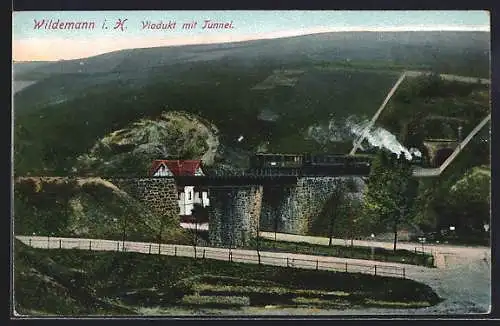 AK Wildemann i. H., Viadukt mit Tunnel, Dampflok