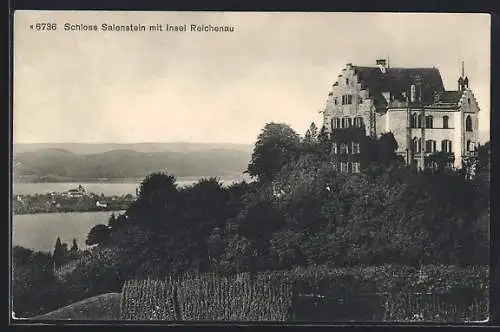 AK Salenstein, Blick auf das Schloss und Insel Reichenau