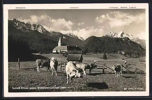 AK Elmau, Schloss Elmau mit Kühen und Gipfelpanorama