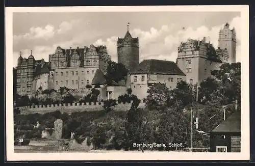 AK Bernburg /Saale, Schloss-Panorama