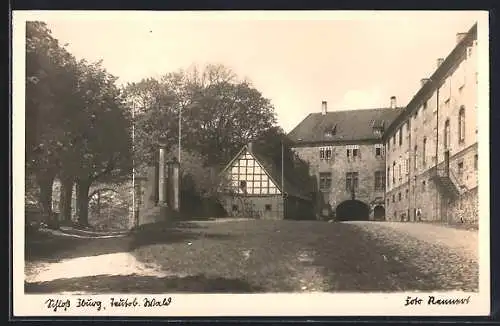 Foto-AK Bad Iburg, Blick zum Schloss