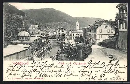 AK Wildbad / Schwarzwald, Blick von der Olgastrasse
