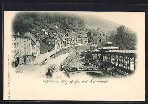 AK Wildbad / Schwarzwald, Olgastrasse mit Trinkhalle