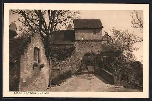 AK Hirschhorn / Neckar, Schloss mit Tor