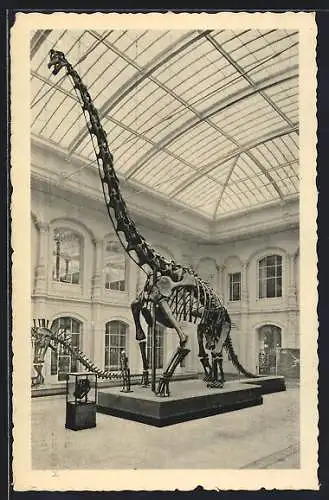 AK Berlin, Brachiosaurus im Museum für Naturkunde, Invalidenstr. 43