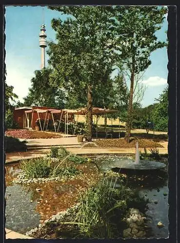 AK Dortmund, Wasserspiel im Westfalenpark