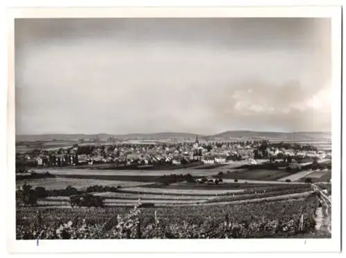 Fotografie unbekannter Fotograf, Ansicht Sprendlingen, Totalansicht der Stadt mit Feldern