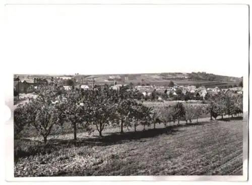 Fotografie unbekannter Fotograf, Ansicht Bubenheim, Teilansicht des Ortes mit Feldern