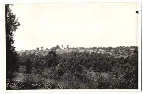 Fotografie unbekannter Fotograf, Ansicht Nieder-Hilbersheim, Blick vom Wald nach dem Ort