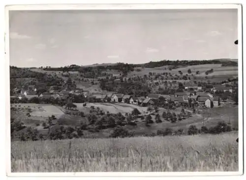 Fotografie Buss & Kupfer, Bad Kreuznach, Ansicht Kirrweiler / Pfalz, Blick nach dem Ort