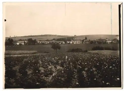 Fotografie Buss & Kupfer, Bad Kreuznach, Ansicht Sitzerath, Teilansicht des Ortes mit der Kirche