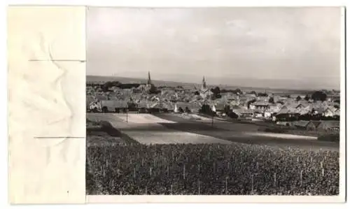 Fotografie Buss & Kupfer, Bad Kreuznach, Ansicht Sprendlingen / Rheinhessen, Blick auf den Ort mit Feldern