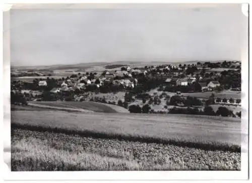 Fotografie Buss & Kupfer, Bad Kreuznach, Ansicht Homberg b. Lauterecken, Teilansicht der Ortschaft