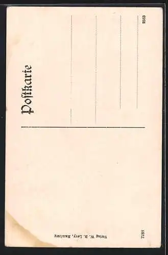 AK Wolfenbüttel, Schloss