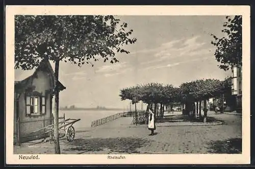 AK Neuwied, Am Rheinufer, mit Promenade