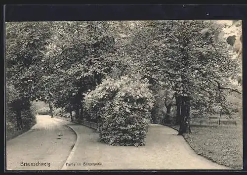 AK Braunschweig, Partie im Bürgerpark