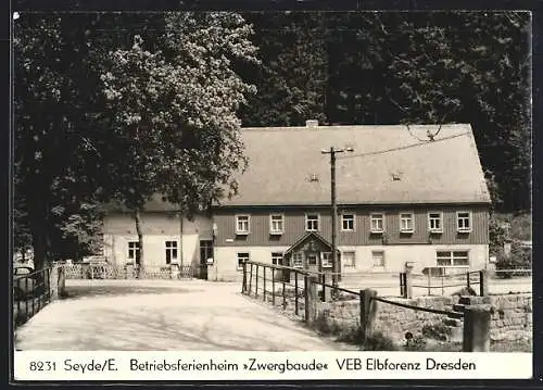 AK Seyde /E., Bertriebsferienheim Zwergbaude des VEB Elbflorenz Dresden, mit Strasse