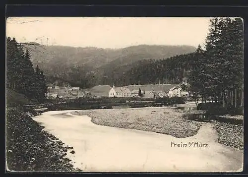 AK Frein an der Mürz, Blick über die Ortschaft