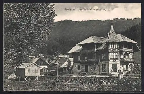 AK Frein, Ortsansicht mit Wildalpe