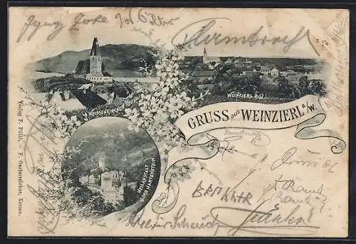 AK Weinzierl a. W., Heilanstalt Burg Hartenstein, Ortsansicht