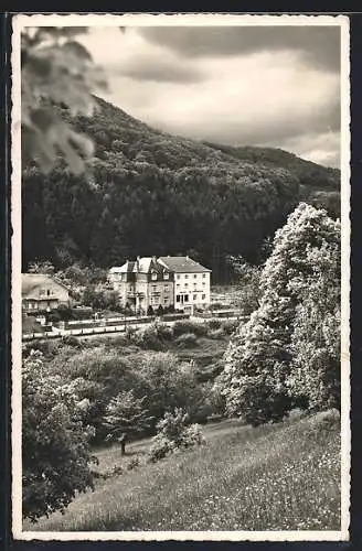 AK Weilerbach /Lez Echternach, Hotel-Pension La Sapiniere M. Hansen