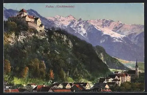 AK Vaduz, Blick zum Ort mit Schloss