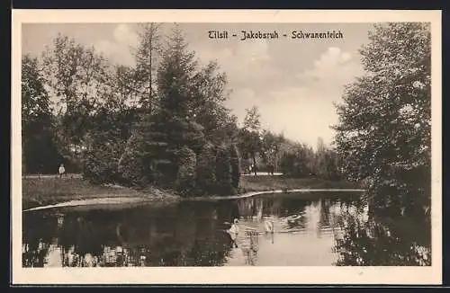 AK Tilsit, Jakobsruh, Schwanenteich