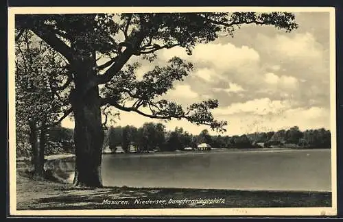 AK Masuren, Dampferanlegeplatz am Niedersee
