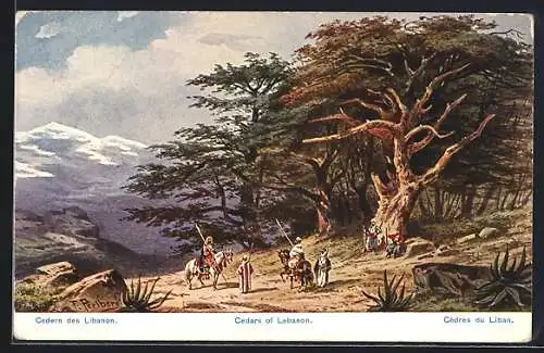 Künstler-AK Friedrich Perlberg: Zedern des Libanon