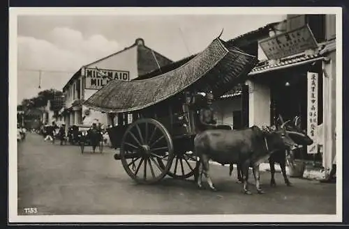 AK Malacca, Street Scene