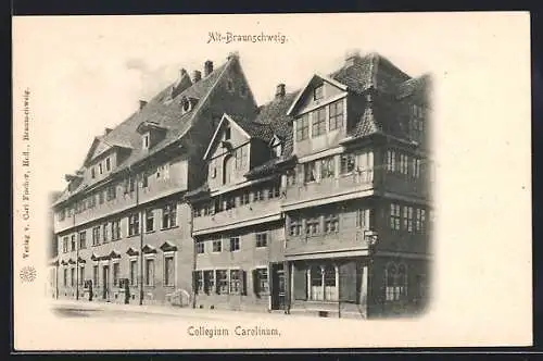 AK Alt-Braunschweig, Collegium Carolinum