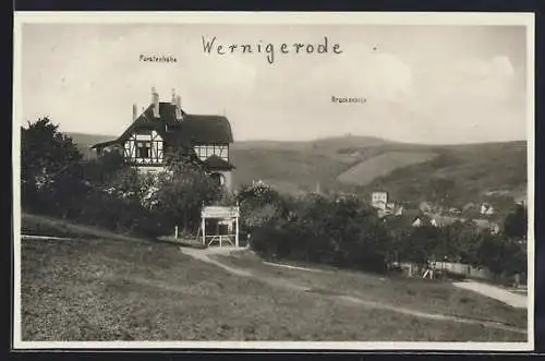 AK Wernigerode, Hotel und Cafe Fürstenhöhe