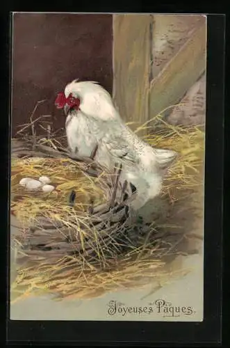 AK Henne gebutachtet ihre Eier, Ostern