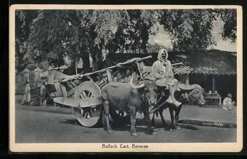 AK Benares, Bullock Cart