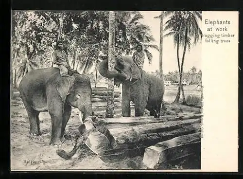 AK Elephants at work, dragging timber felling trees