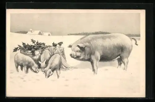 AK Schwein und Ferkel mit einer Kiste im Schnee