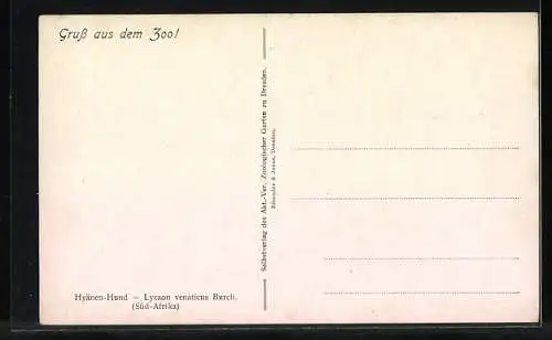 Künstler-AK Zwei afrikanische Hyanen-Hunde