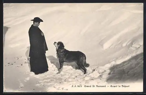 AK Grand St. Bernard, Avant le Depart, Bernhardiner im Schnee