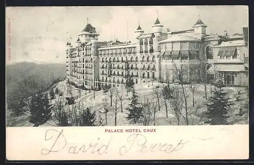 AK Caux, Palace Hotel