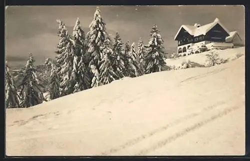 AK Fidaz bei Flims, Kurhaus Fidaz im Schnee