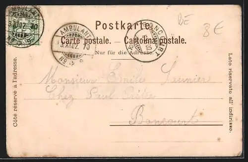 Lithographie Bern, Totalansicht mit Brücke, Rathaus