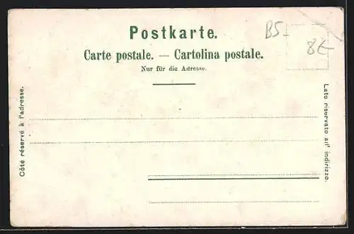 Lithographie Basel, St. Elisabethkirche, Julius Brahn Mercerie-Modes, Totalansicht