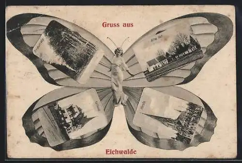 Schmetterling-AK Eichwalde, Ansichten auf Schmetterlingsflügeln, Kirche, Rathaus, Grünauer Weg, Altes Gut