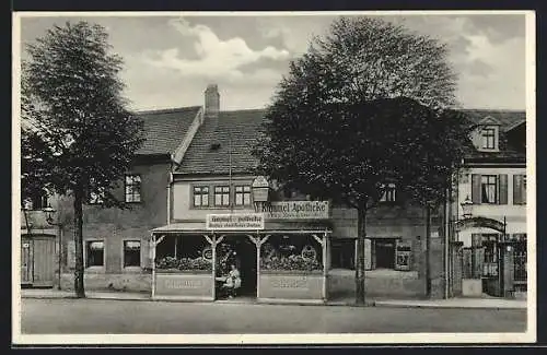 AK Leipzig-Eutritzsch, Gasthaus Kümmel-Apotheke F. Zuckschwerdt, Ansicht von der Strasse