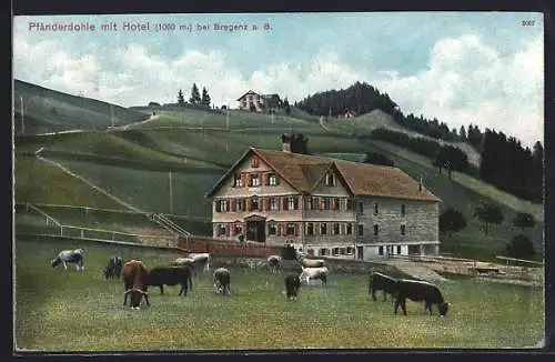 AK Bregenz a. B., Gasthaus Pfänderdohle mit Hotel